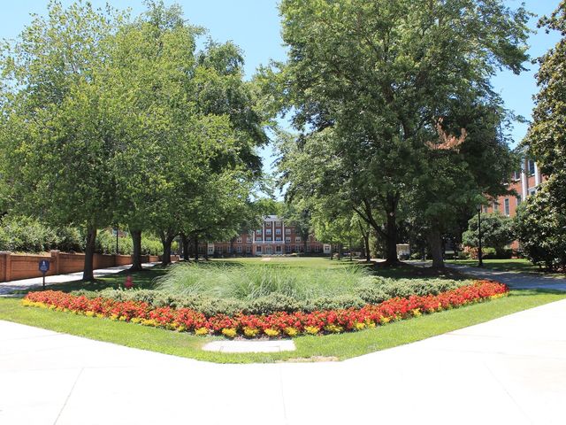 Photo of Longwood University