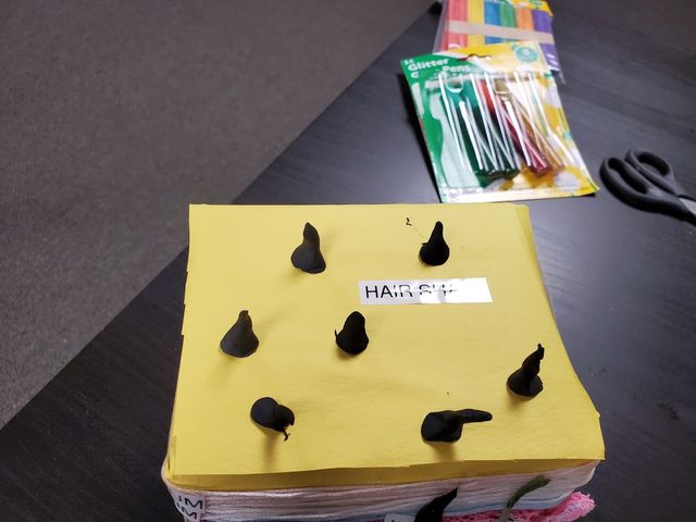 Photo of Long Island Nail Skin & Hair Institute