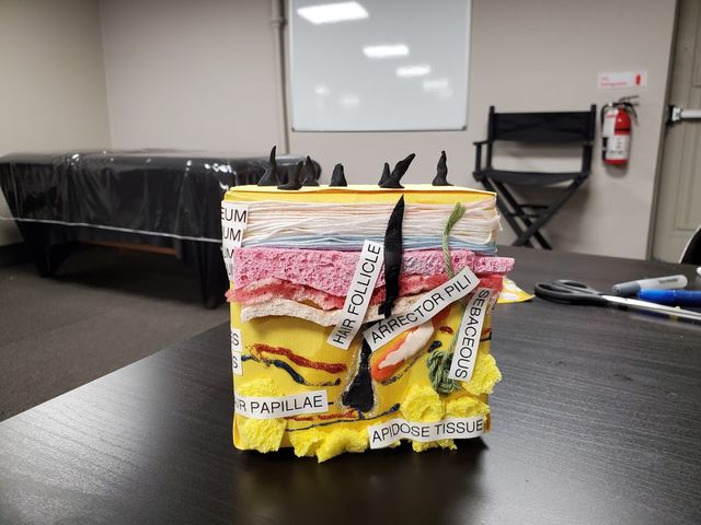 Photo of Long Island Nail Skin & Hair Institute