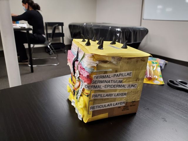 Photo of Long Island Nail Skin & Hair Institute