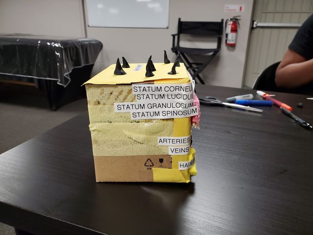 Photo of Long Island Nail Skin & Hair Institute