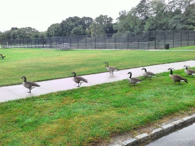 Photo of Long Island University