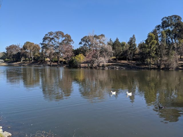 Photo of Los Medanos College