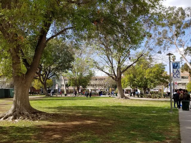 Photo of Los Angeles City College
