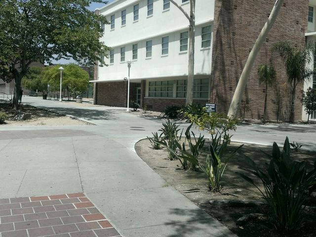 Photo of Los Angeles City College