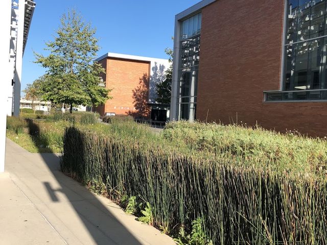 Photo of Los Angeles Harbor College