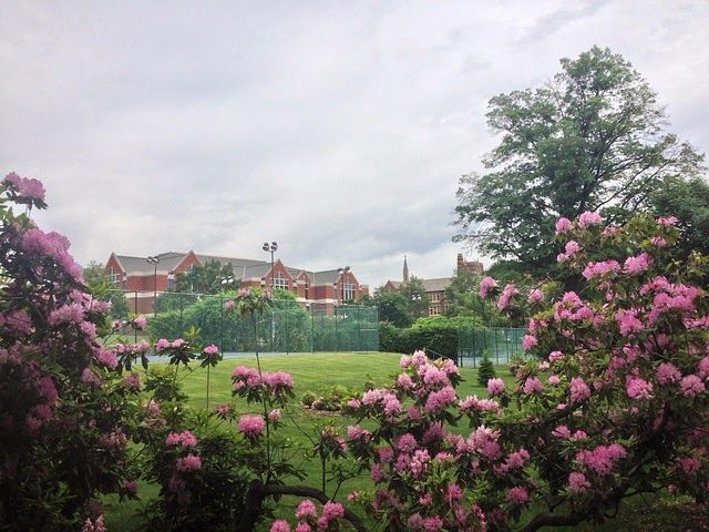 Photo of La Salle University