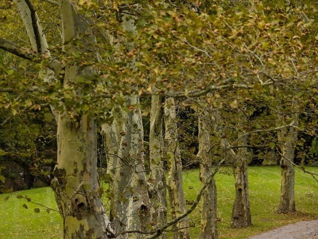 Photo of La Roche University