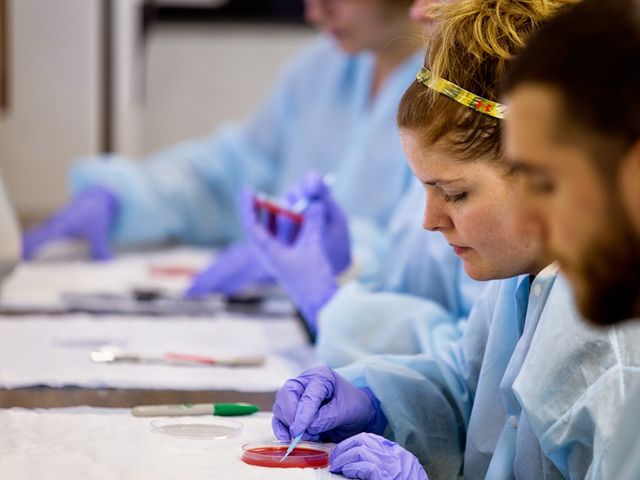 Photo of Laurel Technical Institute