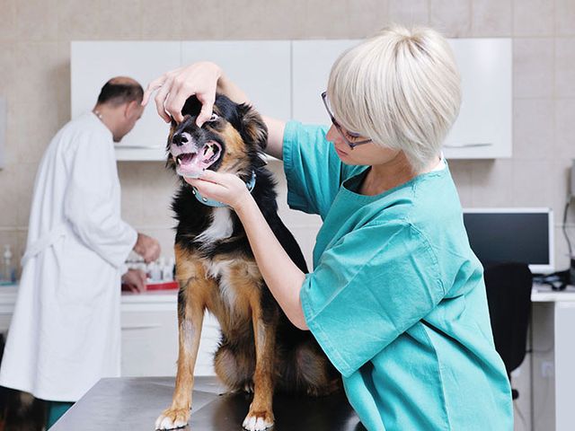 Photo of Laurel Technical Institute