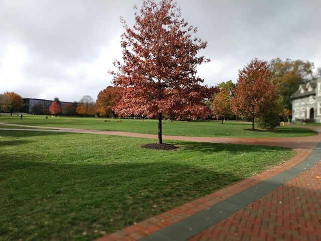 Photo of Lafayette College
