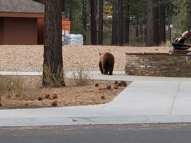Photo of Lake Tahoe Community College