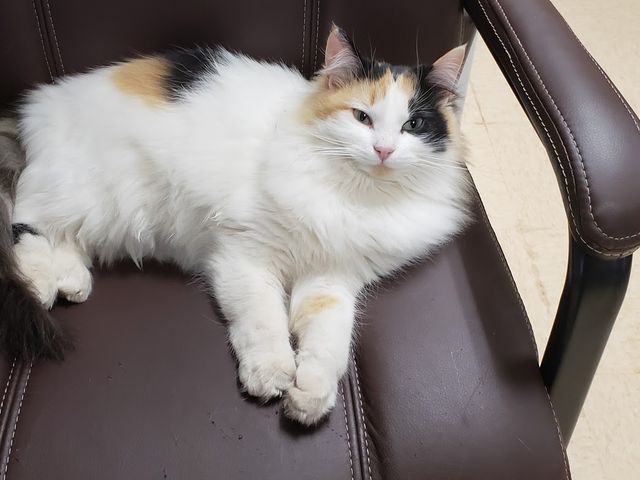 Photo of Lake Area Technical Institute