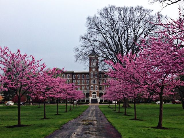Photo of Lake Erie College