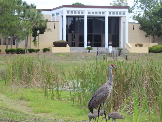 Photo of Lake-Sumter State College