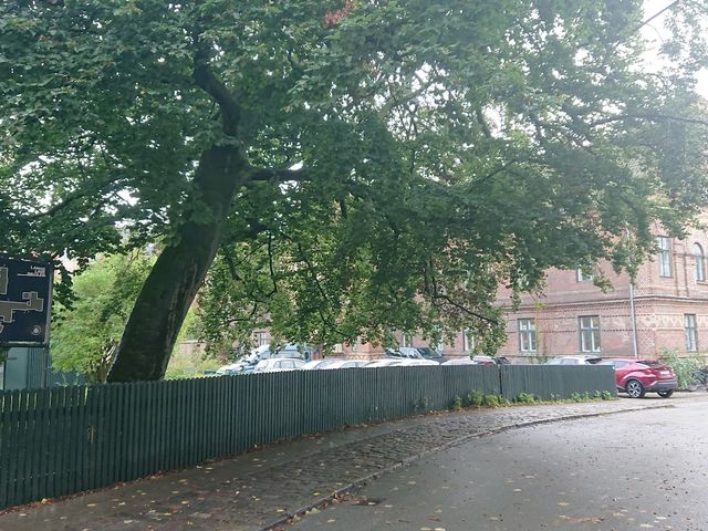 Photo of Langelinieskolen Kastelsvej