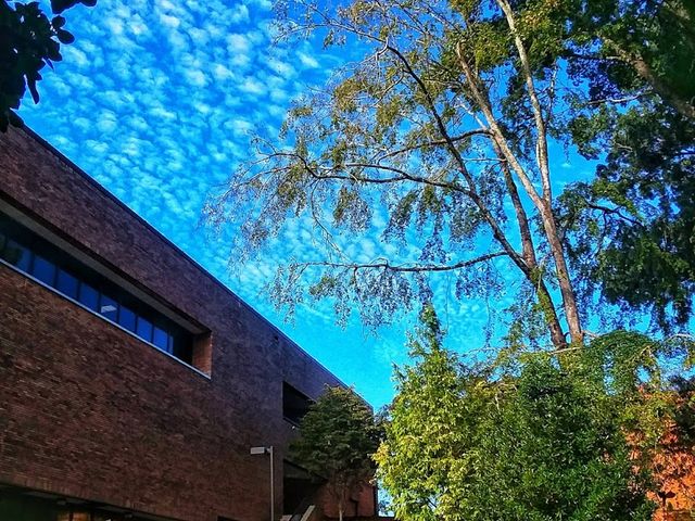 Photo of Lander University