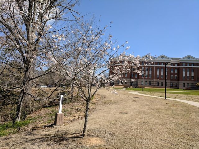 Photo of Lander University