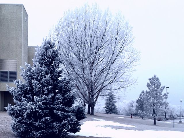 Photo of Laramie County Community College