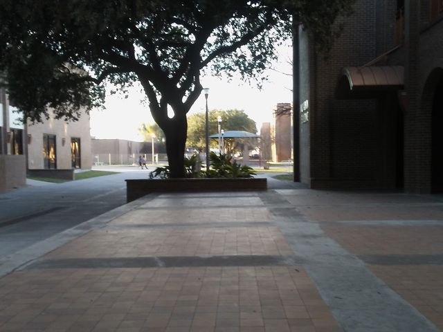 Photo of Laredo College