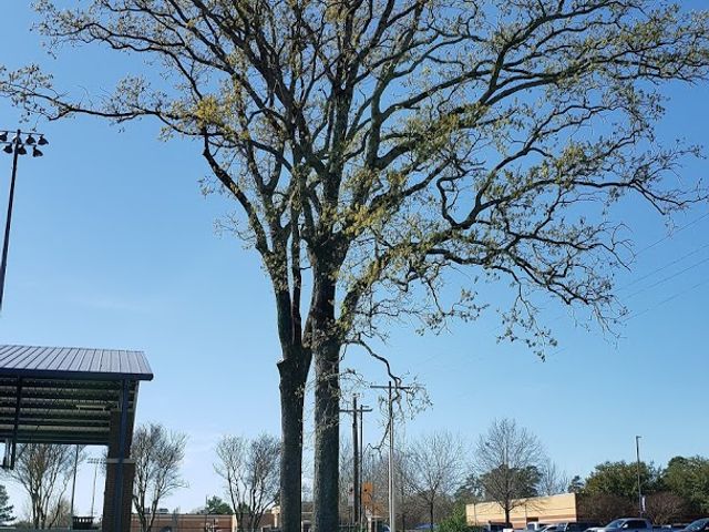 Photo of LeTourneau University