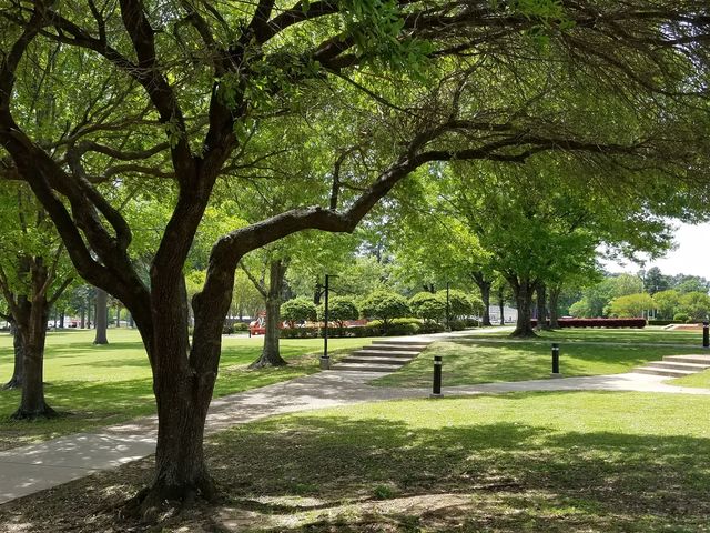 Photo of LeTourneau University