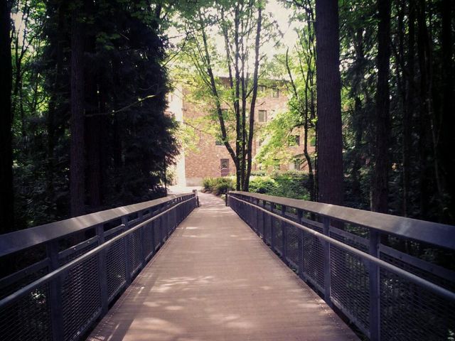 Photo of Lewis & Clark College