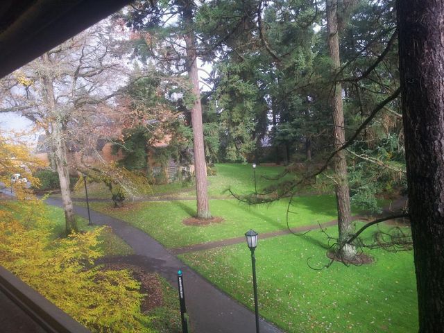 Photo of Lewis & Clark College