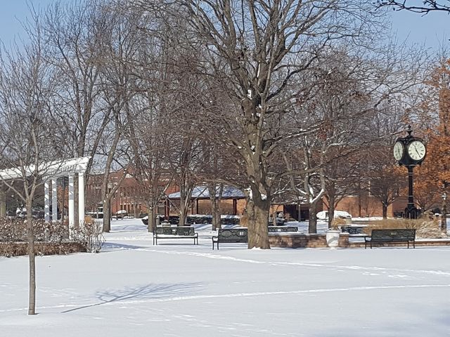 Photo of Lewis University