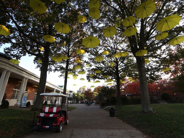 Photo of Lee University