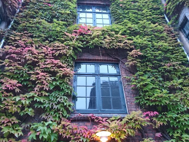 Photo of Legepladsen Gunløgsgade