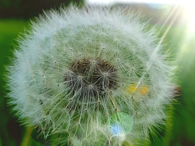 Photo of Legepladsen I Sabro