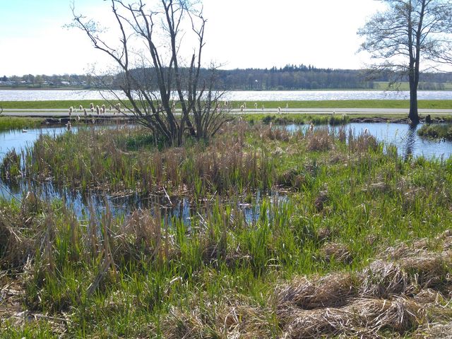 Photo of Legepladsen Søparken