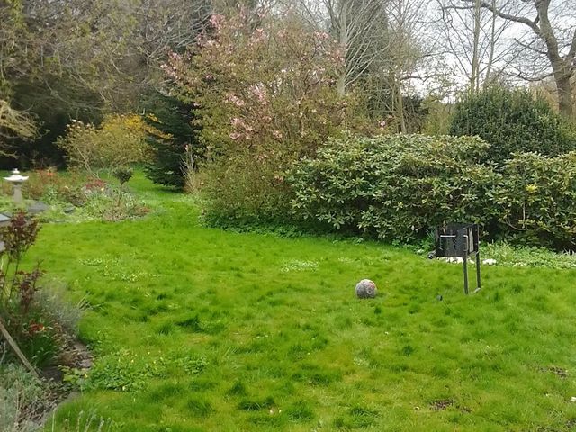 Photo of Legepladsen Søparken