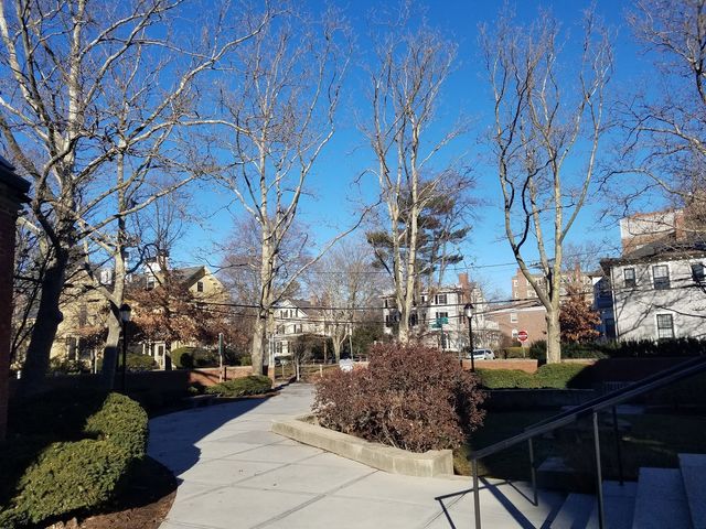 Photo of Lesley University