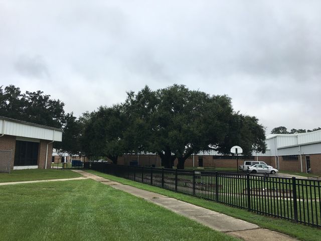 Photo of Lively Technical College