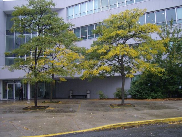Photo of Lincoln Technical Institute-Somerville