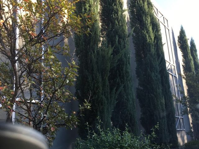 Photo of Lincoln Law School of Sacramento