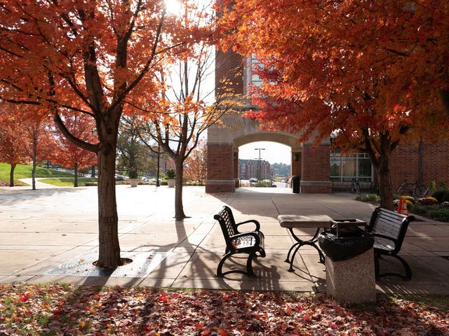 Photo of Lindenwood University