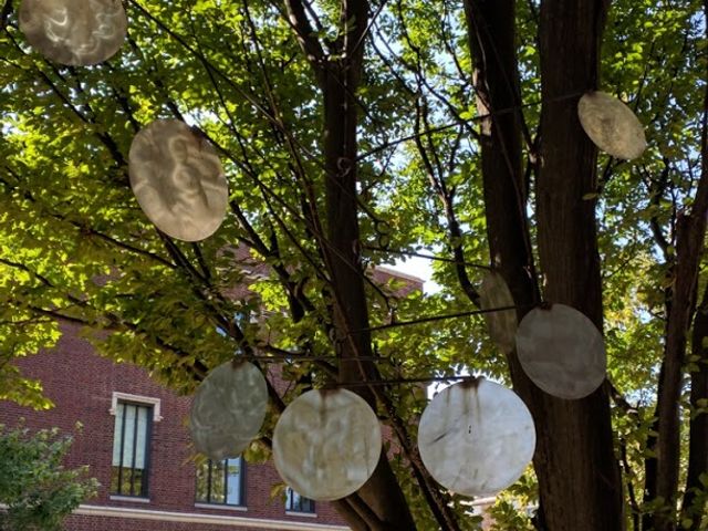 Photo of Lindenwood University-Belleville