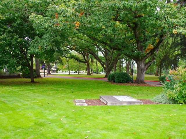 Photo of Linfield College-McMinnville Campus