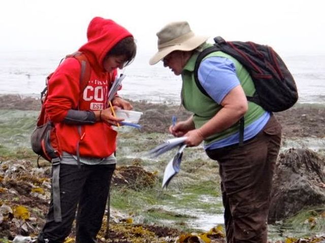 Photo of Linfield College-Online and Continuing Education