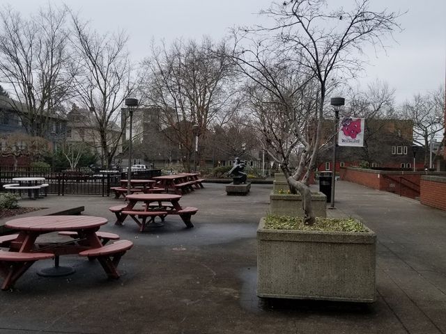 Photo of Linfield College-School of Nursing