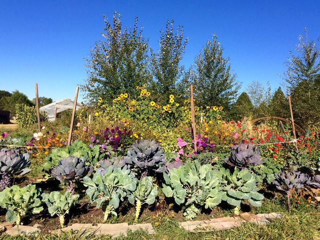 Photo of Linn-Benton Community College