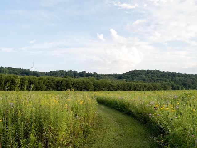Photo of Luther College