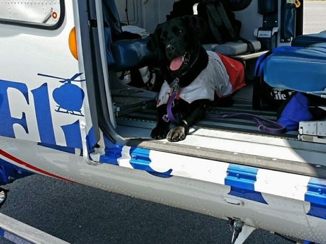 Photo of Luzerne County Community College