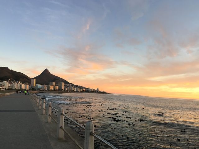 Photo of Mouille Point Adventure Playground