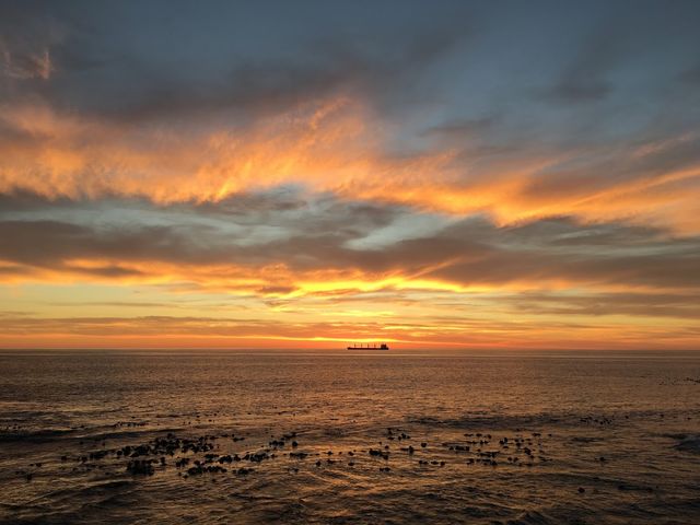 Photo of Mouille Point Adventure Playground