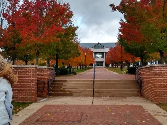 Photo of Mount Aloysius College