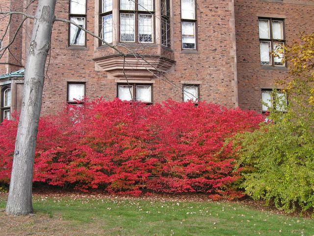 Photo of Mount Holyoke College